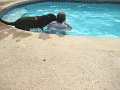 IMG_0065