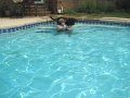 IMG_0066