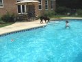 IMG_0067