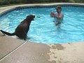 IMG_0075