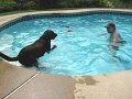 IMG_0077