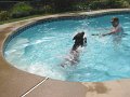 IMG_0081