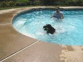 IMG_0084