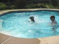 IMG_0090