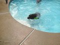IMG_0092