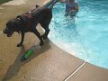 IMG_0093