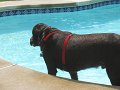 IMG_0097