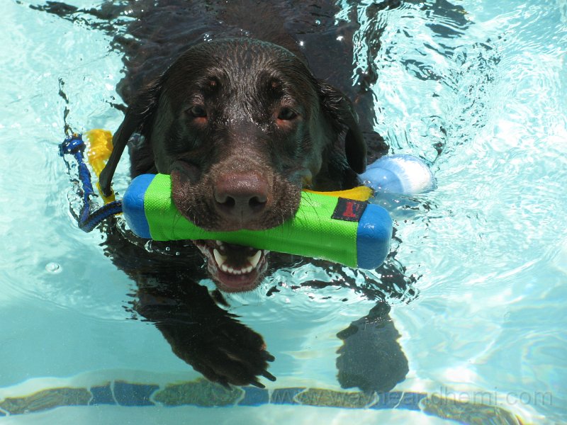 IMG_0012.JPG