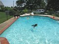 IMG_0003