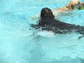 IMG_0008