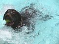 IMG_0009