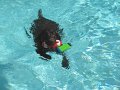 IMG_0007