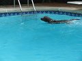 IMG_0010