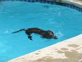 IMG_0011