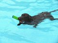 IMG_0013