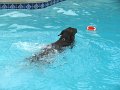 IMG_0014