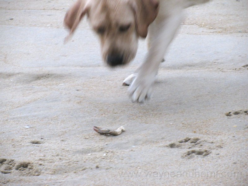 IMG_0160.JPG