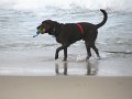 IMG_0011