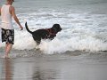 IMG_0014