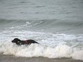 IMG_0015
