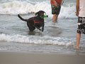 IMG_0018