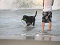 IMG_0019