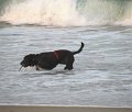 IMG_0024
