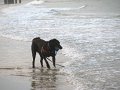 IMG_0036