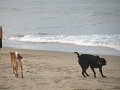 IMG_0039