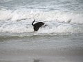 IMG_0047