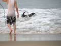 IMG_0054