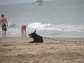 IMG_0056
