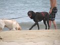 IMG_0138