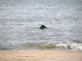 IMG_0145