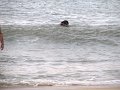 IMG_0154