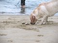 IMG_0158