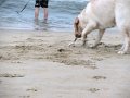 IMG_0159