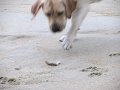 IMG_0160