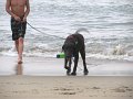 IMG_0161