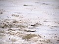 IMG_0171