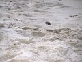 IMG_0172