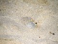 IMG_0175