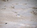 IMG_0176