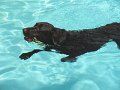 IMG_0044