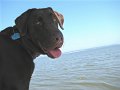 IMG_0008