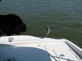 IMG_0020