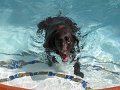 IMG_0002