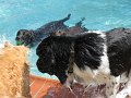 IMG_0003
