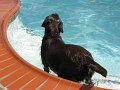 IMG_0005