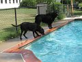 IMG_0007